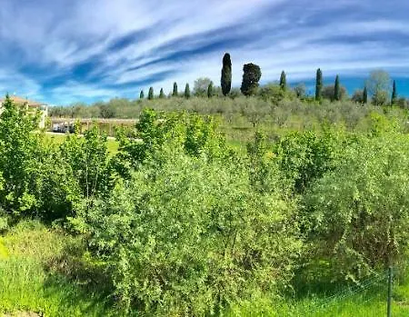 Апартаменты Alice Лацизе